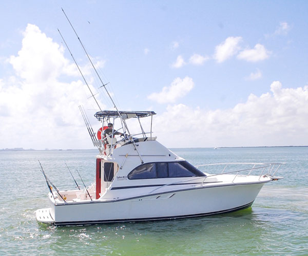 Luhrs 350 special rates